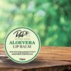 DnDs Aloe Vera Lip Balm 15 gm – Natural Hydrating Lip Moisturizer for Soft, Smooth & Nourished Lips
