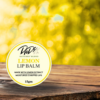 DnDs Lemon Lip Balm 15 gm – Natural Lemon Extract Lip Moisturizer for Soft, Bright & Hydrated Lips